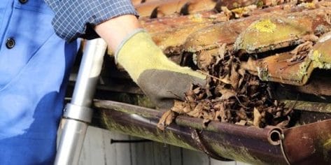 gutter-clearance Gutter Clearance and Maintenance | London, Essex & Surrounding Counties.